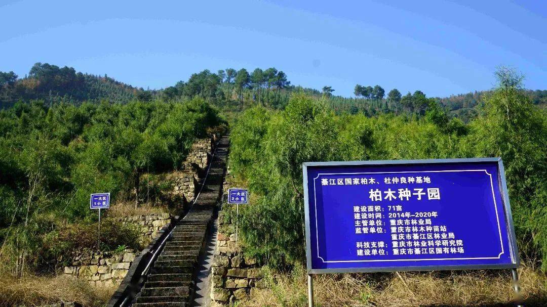 欧绿水处理